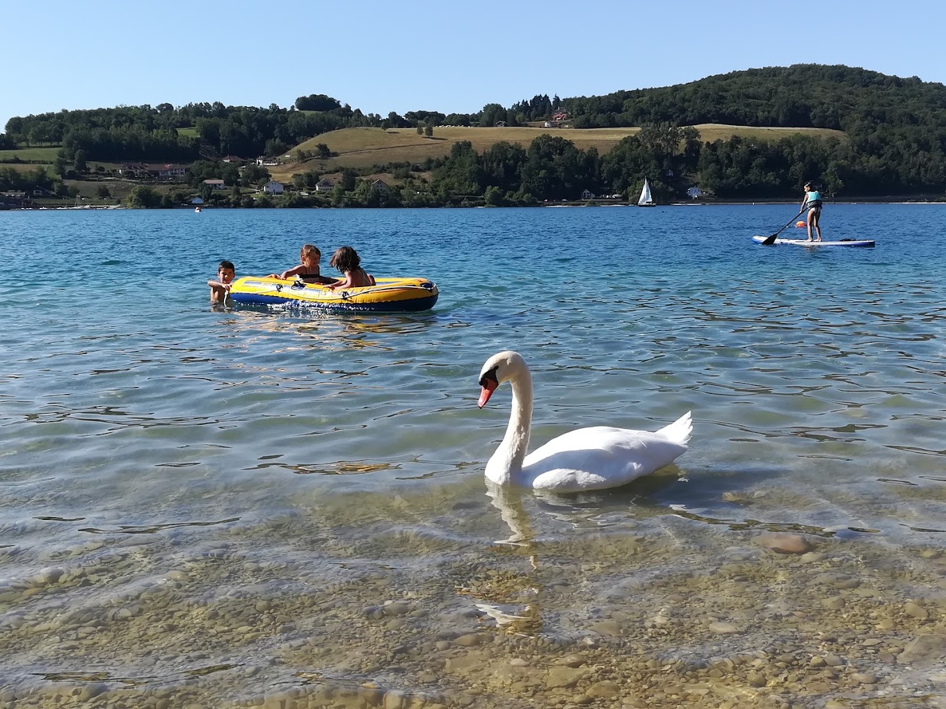 lac cygne paddle canot pneumatique